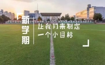 中班个人学期工作总结8篇