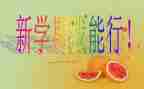 教师这学期的个人总结范文7篇