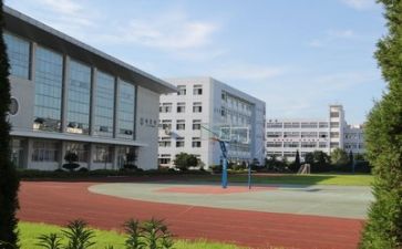 学校开展活动总结参考5篇
