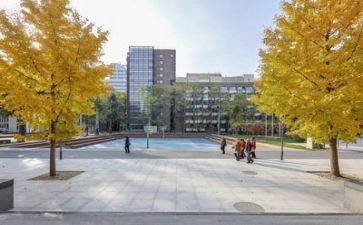 学校415活动总结6篇