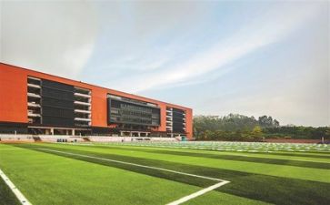 学校军训心得体会5篇