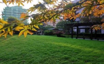 毕业学校心得体会7篇