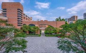 学校个人述职报告模板7篇