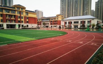 学校观看活动总结5篇