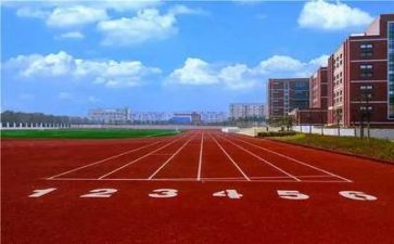 学校的活动总结精选8篇