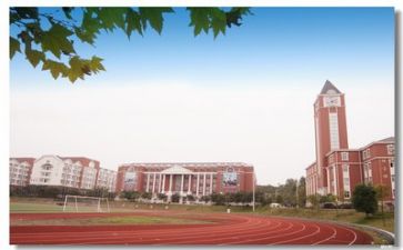学校年度个人总结范文7篇