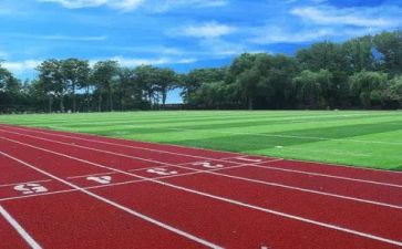 学校2024年工作总结及2024年工作计划最新8篇