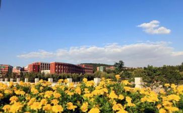 学校出纳个人总结5篇