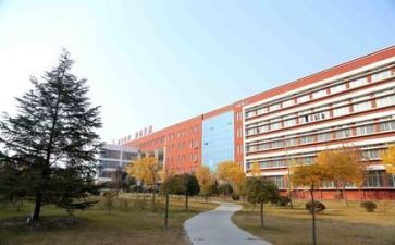 教师学校培训计划6篇