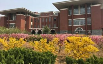 学校321活动总结优质5篇