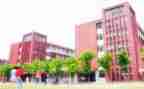 学校2024年工作总结7篇