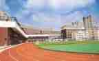 学校的述职报告模板5篇