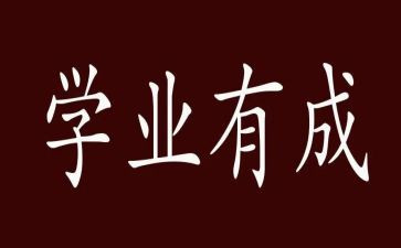 学业年度的总结报告7篇