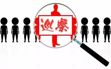 县巡察组长述职述廉报告7篇