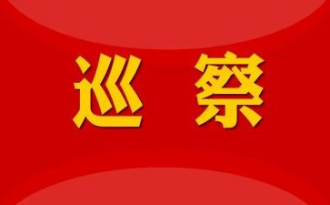 巡察工作自我鉴定6篇