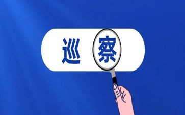 巡察组长巡察工作总结8篇