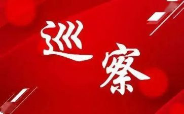 对村巡察心得体会5篇