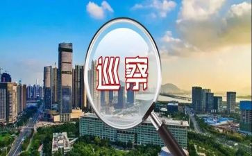 巡察干部的心得体会8篇