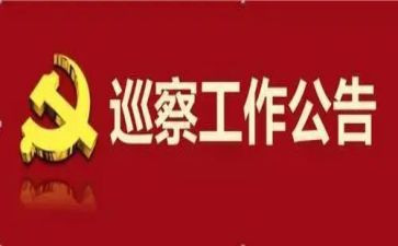 巡察述职报告5篇