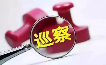 某巡察组巡察工作总结通用8篇