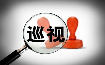 巡查的工作总结7篇