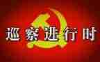 巡察组长心得体会7篇