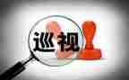 巡查的工作总结7篇