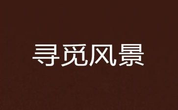 我寻觅作文7篇