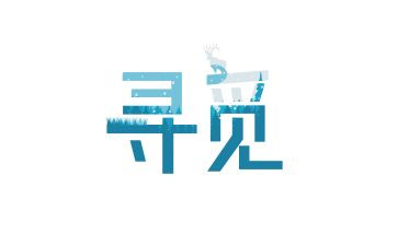 我寻觅作文通用7篇