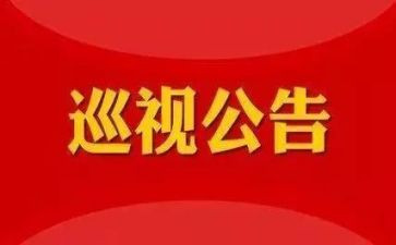 巡视报告总结7篇