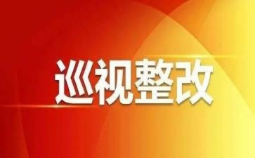 巡视室工作总结6篇