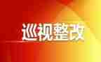 巡视室工作总结6篇