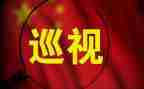参加巡视工作总结5篇