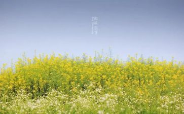 初中叙事作文600字6篇