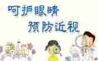 幼儿园眼睛的教案推荐8篇