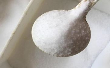 大班科学活动盐教案8篇