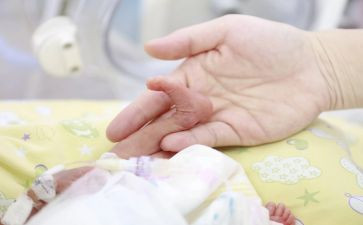 蛋宝宝幼儿教案推荐6篇