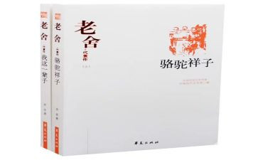 写样子的作文6篇