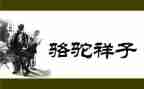 写样子的作文通用7篇