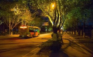 夜读书的快乐演讲稿优秀7篇