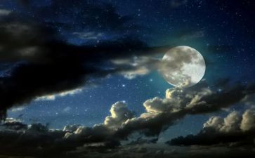 我除夕夜作文模板8篇