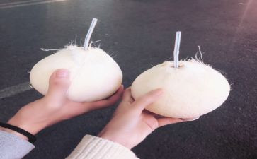 选椰子作文6篇