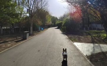 河长下一步工作计划参考7篇