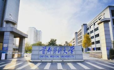 藏医科工作总结5篇
