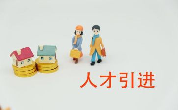 省引才工作总结范文优质6篇