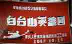 中国英雄事迹7篇