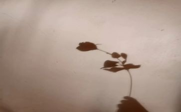 画影子教案模板8篇