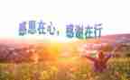 因为有了你作文800字7篇