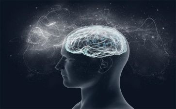 法律意识调查报告8篇