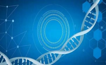 医学生自我鉴定范文500字5篇